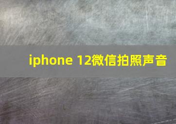 iphone 12微信拍照声音